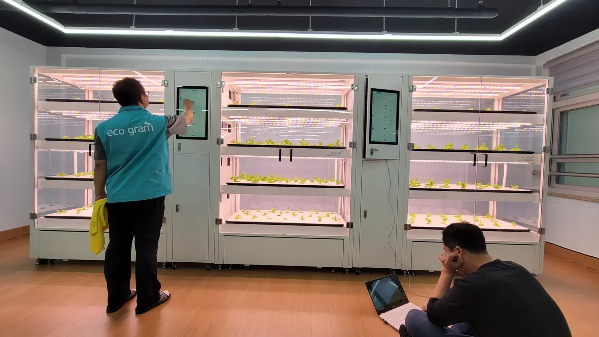 천안 성정초등학교 식물공장 운영 지원 현장